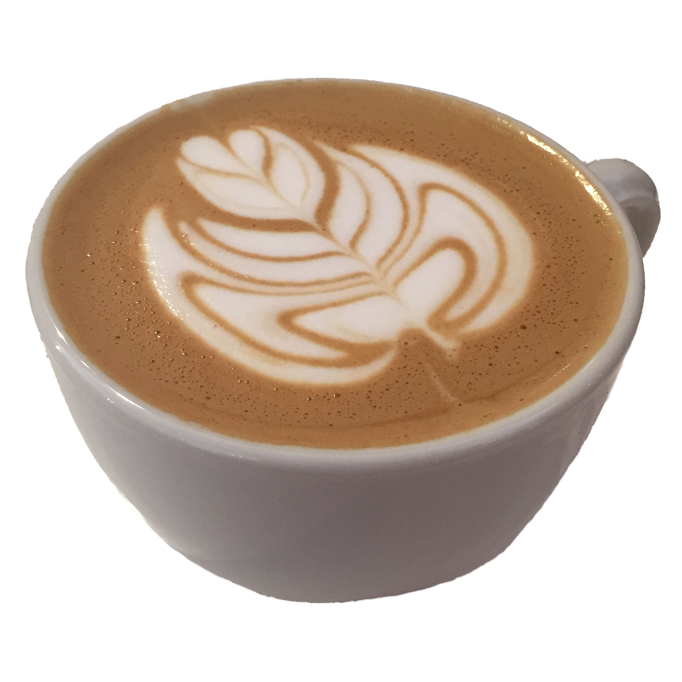 Latte Art Training - January 27th