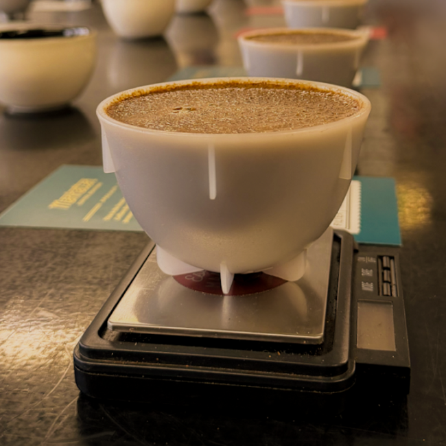 Public Cupping - May 21