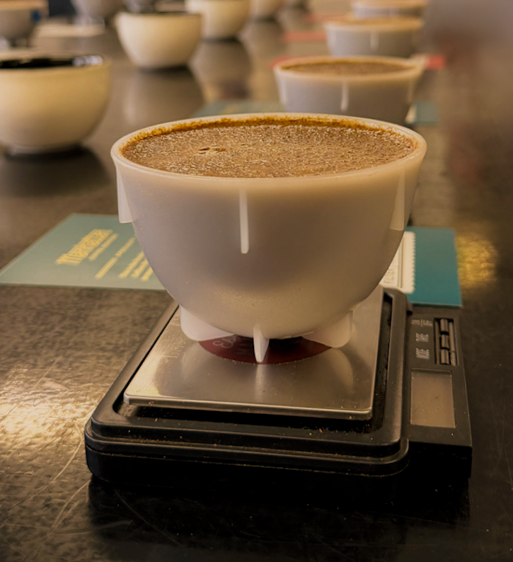 Public Cupping - May 21